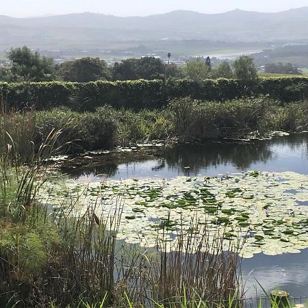 Willa Longfield House Stellenbosch Zewnętrze zdjęcie
