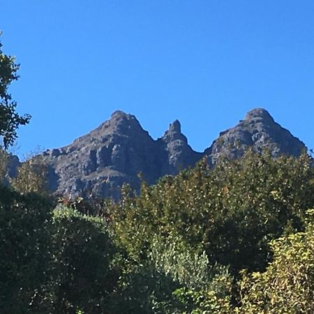 Willa Longfield House Stellenbosch Zewnętrze zdjęcie