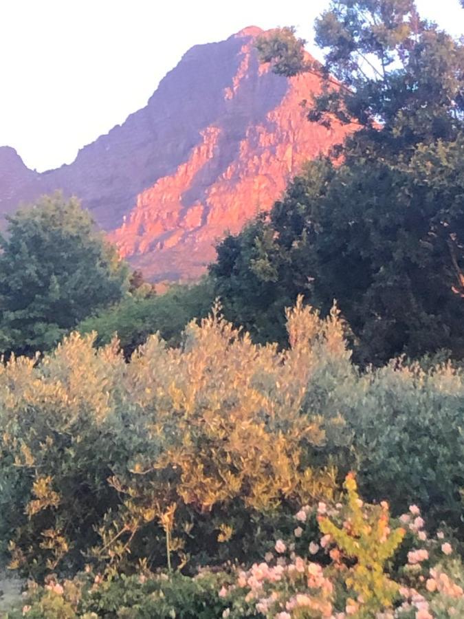 Willa Longfield House Stellenbosch Zewnętrze zdjęcie