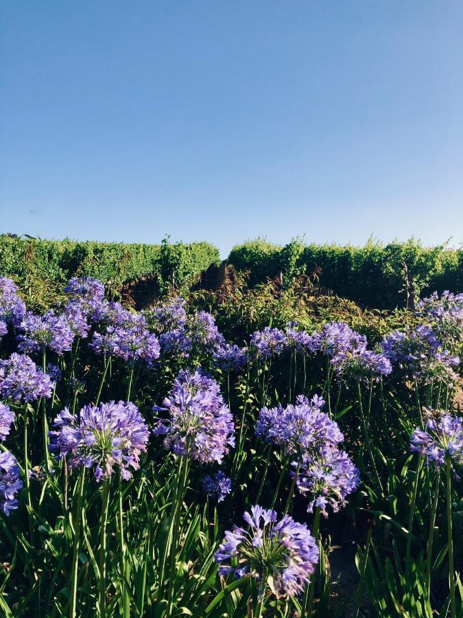 Willa Longfield House Stellenbosch Zewnętrze zdjęcie