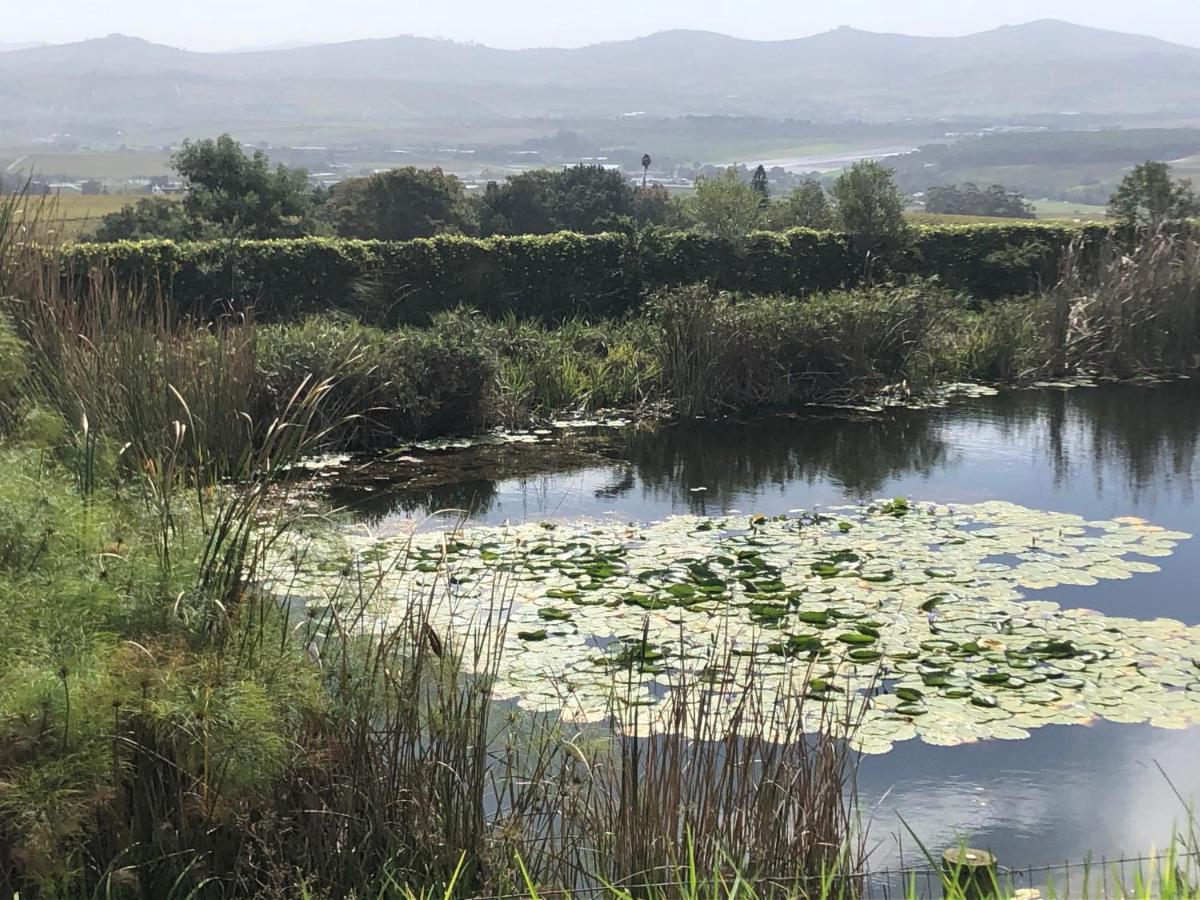 Willa Longfield House Stellenbosch Zewnętrze zdjęcie