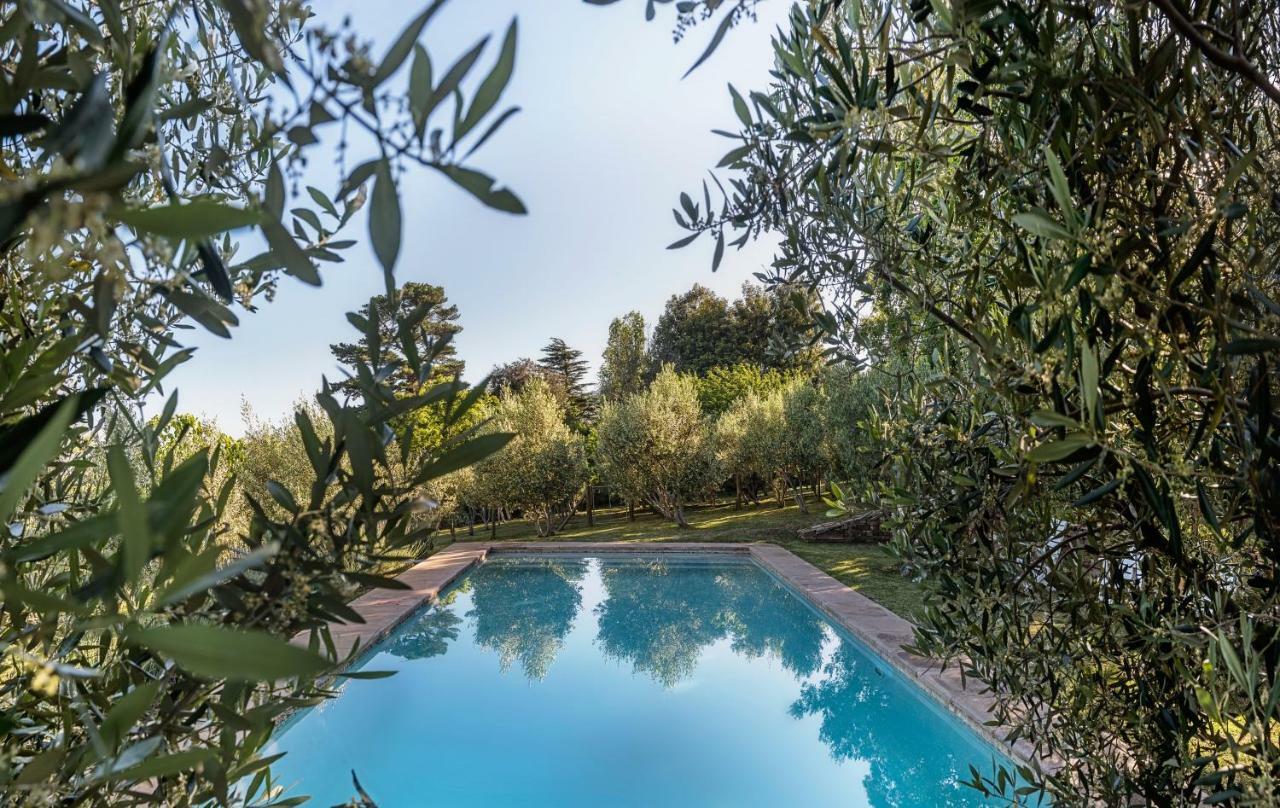 Willa Longfield House Stellenbosch Zewnętrze zdjęcie