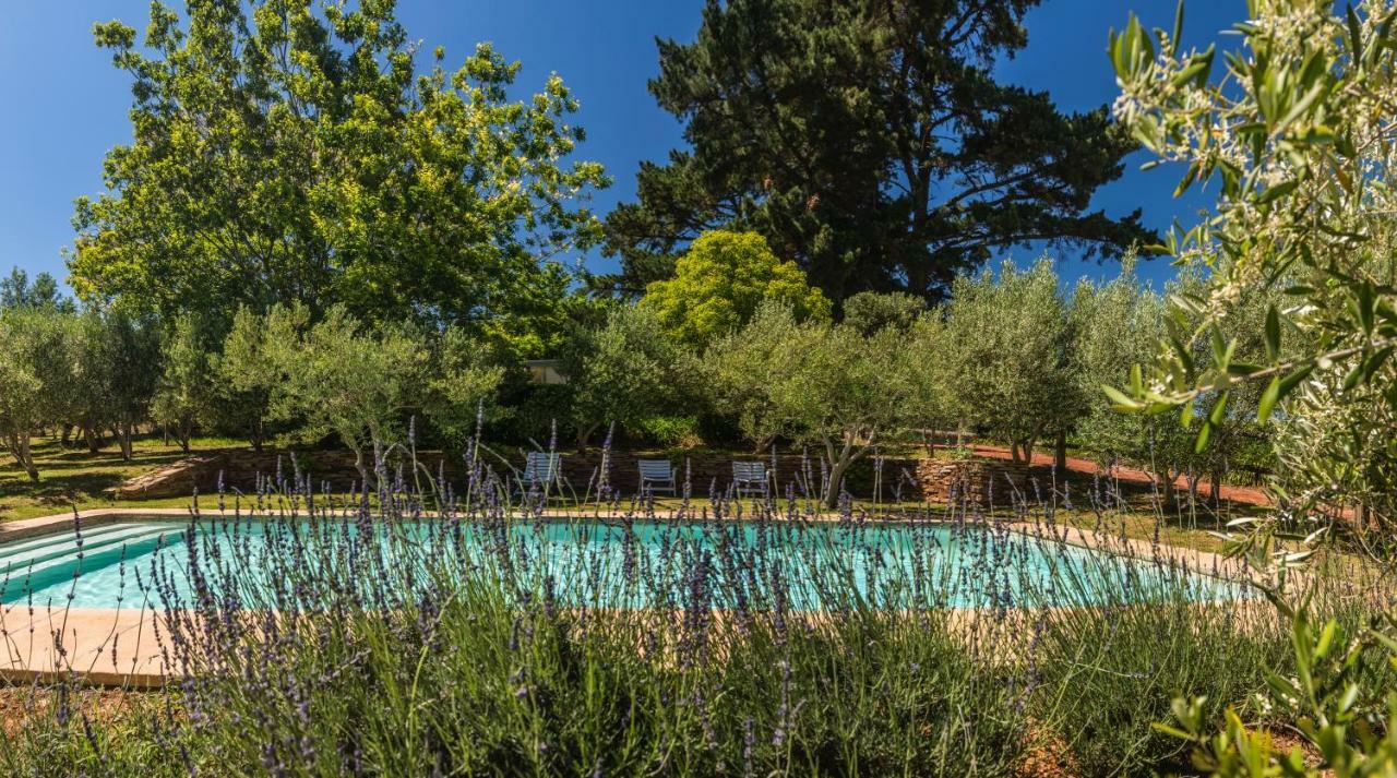 Willa Longfield House Stellenbosch Zewnętrze zdjęcie