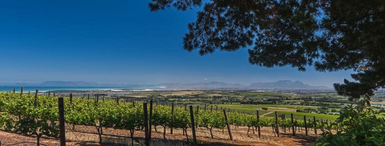 Willa Longfield House Stellenbosch Zewnętrze zdjęcie