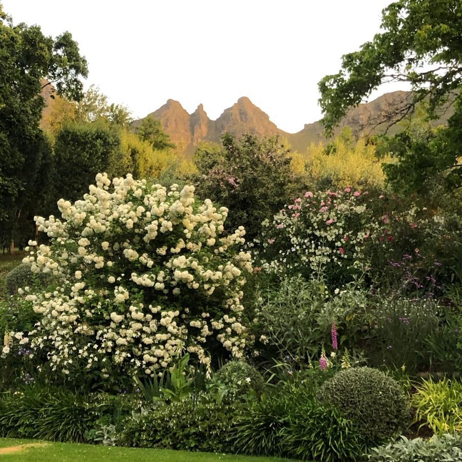 Willa Longfield House Stellenbosch Zewnętrze zdjęcie