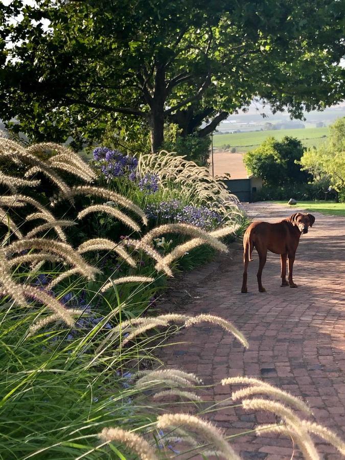 Willa Longfield House Stellenbosch Zewnętrze zdjęcie
